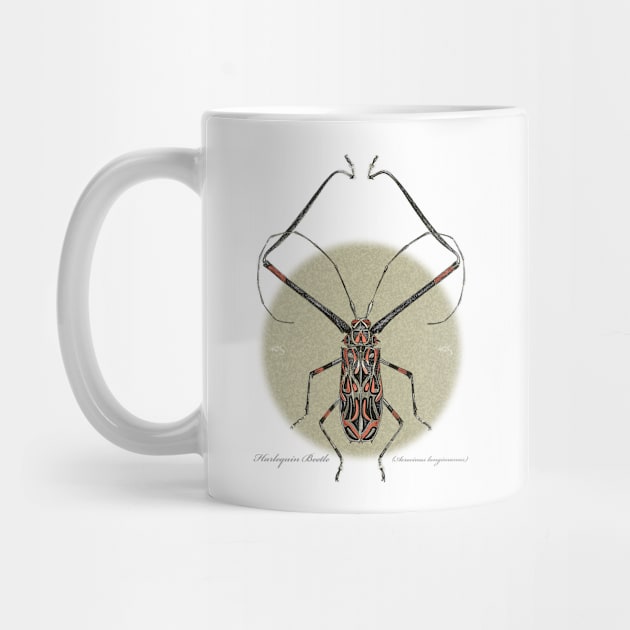 Harlequin Beetle by 40degreesSouth